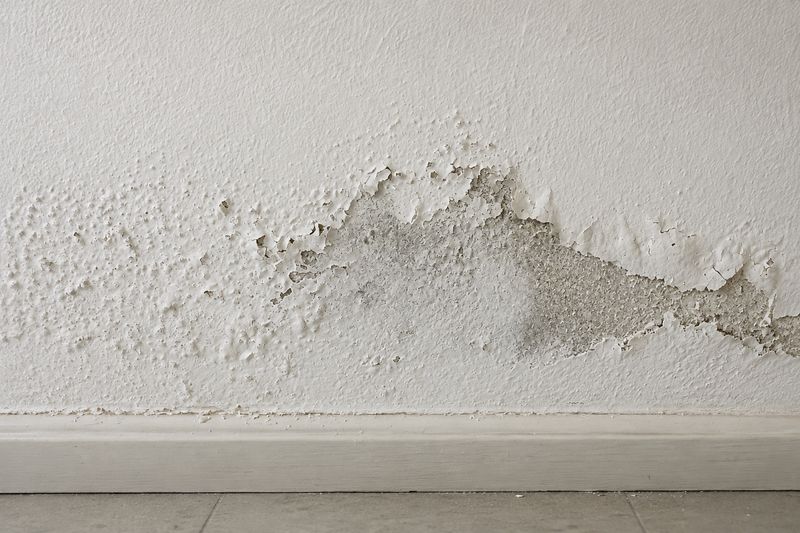 Abplatzender Putz und Salzausblühungen an einer Wand oberhalb der Sockelleiste