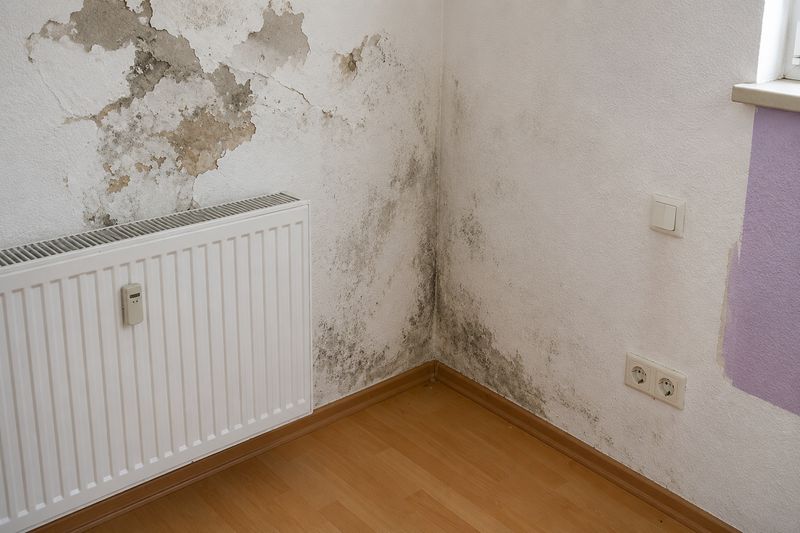 Raumecke mit großflächigem Schimmel entlang der Sockelleiste und abgeplatztem Putz oberhalb eines Heizkörpers