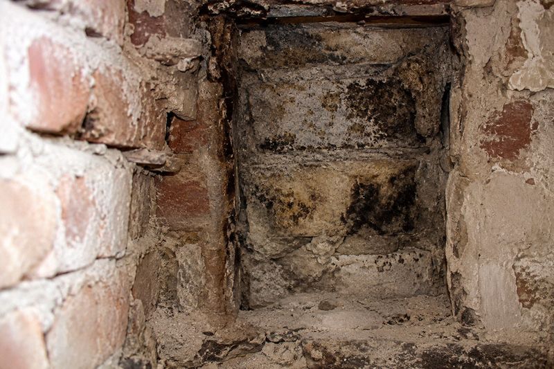 Dunkler Bewuchs auf altem Ziegelmauerwerk in einer Kellernische